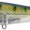 River2Sea ICBM 120 Hard Stickbait/Glidebait -Fishing Gear Shop 06BlueGill