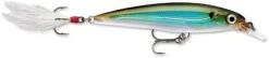 Rapala X-Rap 10 Medium Diving Jerkbait -Fishing Gear Shop 12381499392055