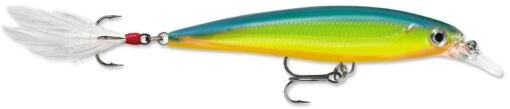 Rapala X-Rap 10 Medium Diving Jerkbait -Fishing Gear Shop 12381499457591