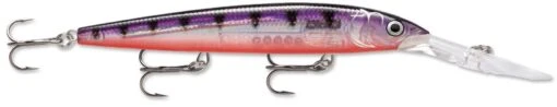 Rapala Down Deep Husky Jerk 12 Deep Diving Jerkbait -Fishing Gear Shop 12564582727735