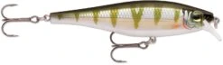 Rapala Balsa Xtreme BX Minnow 10 Medium Diving Jerkbait -Fishing Gear Shop 12582631997495