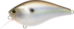 Lucky Craft LC 2.5 Shallow Squarebill Crankbait -Fishing Gear Shop 12607085903927