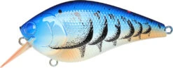 Lucky Craft LC 2.5 Shallow Squarebill Crankbait -Fishing Gear Shop 12607085969463