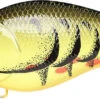 Lucky Craft LC 2.5 Shallow Squarebill Crankbait -Fishing Gear Shop 12607086034999