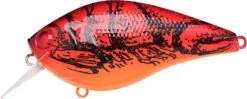 Lucky Craft LC 2.5 Shallow Squarebill Crankbait -Fishing Gear Shop 12607086100535