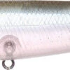 Lucky Craft Sammy 100 Topwater Walker -Fishing Gear Shop 12651524915255