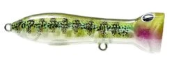 Nomad Design Chug Norris Freshwater/Inshore Popper -Fishing Gear Shop 12674578841655