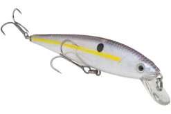 Strike King KVD 200 Series 4 1/2 Inch Suspending Medium Jerkbait -Fishing Gear Shop 12699182497847