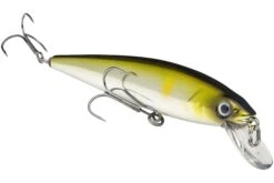 Strike King KVD 200 Series 4 1/2 Inch Suspending Medium Jerkbait -Fishing Gear Shop 12699182530615