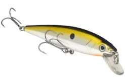 Strike King KVD 200 Series 4 1/2 Inch Suspending Medium Jerkbait -Fishing Gear Shop 12699182596151