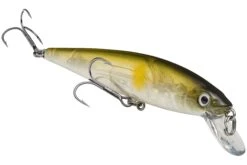 Strike King KVD 200 Series 4 1/2 Inch Suspending Medium Jerkbait -Fishing Gear Shop 12699182661687