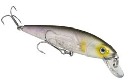 Strike King KVD 200 Series 4 1/2 Inch Suspending Medium Jerkbait -Fishing Gear Shop 12699182694455