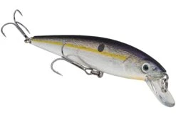 Strike King KVD 200 Series 4 1/2 Inch Suspending Medium Jerkbait -Fishing Gear Shop 12699182759991