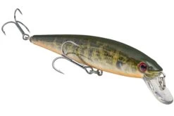 Strike King KVD 200 Series 4 1/2 Inch Suspending Medium Jerkbait -Fishing Gear Shop 12699182858295