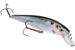 Strike King KVD 200 Series 4 1/2 Inch Suspending Medium Jerkbait -Fishing Gear Shop 12699182891063