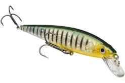 Strike King KVD 200 Series 4 1/2 Inch Suspending Medium Jerkbait -Fishing Gear Shop 12699182923831