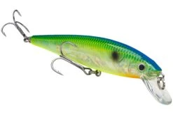 Strike King KVD 200 Series 4 1/2 Inch Suspending Medium Jerkbait -Fishing Gear Shop 12699183054903