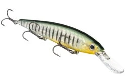 Strike King KVD 300D Series 4 1/2 Inch Deep Diving Jerkbait -Fishing Gear Shop 12699232272439