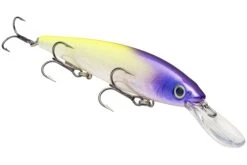 Strike King KVD 300D Series 4 1/2 Inch Deep Diving Jerkbait -Fishing Gear Shop 12699232632887