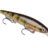 Strike King KVD 300D Series 4 1/2 Inch Deep Diving Jerkbait -Fishing Gear Shop 12699232829495