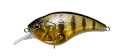 Megabass Sonicside Medium Diving Crankbait -Fishing Gear Shop 12963920379959