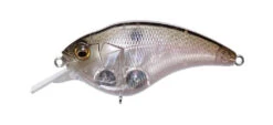 Megabass Sonicside Medium Diving Crankbait -Fishing Gear Shop 12963920478263