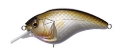 Megabass Sonicside Medium Diving Crankbait -Fishing Gear Shop 12963920576567