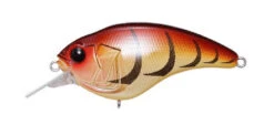 Megabass Sonicside Medium Diving Crankbait -Fishing Gear Shop 12963920642103