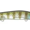 Jackall I-Prop 75 Spybait -Fishing Gear Shop 12984626511927