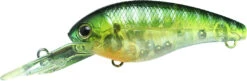 Lucky Craft Moonsault CB-200 Medium Shallow Diving Crankbait -Fishing Gear Shop 13025145946167