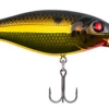 Berkley Bad Shad Medium Diving Crankbait -Fishing Gear Shop 13945542475831