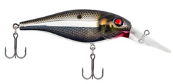 Berkley Bad Shad Medium Diving Crankbait -Fishing Gear Shop 13945542541367