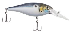 Berkley Bad Shad Medium Diving Crankbait -Fishing Gear Shop 13945542639671