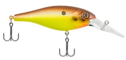 Berkley Bad Shad Medium Diving Crankbait -Fishing Gear Shop 13945542737975