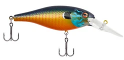 Berkley Bad Shad Medium Diving Crankbait -Fishing Gear Shop 13945542934583