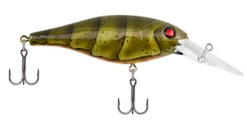 Berkley Bad Shad Medium Diving Crankbait -Fishing Gear Shop 13945543000119