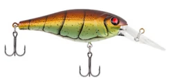 Berkley Bad Shad Medium Diving Crankbait -Fishing Gear Shop 13945543262263