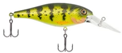 Berkley Bad Shad Medium Diving Crankbait -Fishing Gear Shop 13945543327799