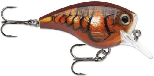 Rapala BX Big Brat 2 3/4 Inch Square Bill Crankbait -Fishing Gear Shop 31321538330713