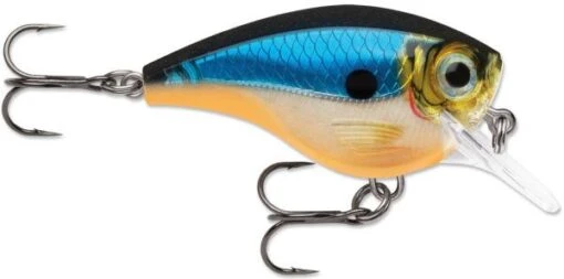 Rapala BX Big Brat 2 3/4 Inch Square Bill Crankbait -Fishing Gear Shop 31321538363481