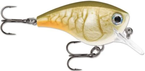 Rapala BX Big Brat 2 3/4 Inch Square Bill Crankbait -Fishing Gear Shop 31321538396249