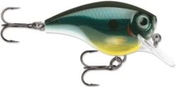 Rapala BX Big Brat 2 3/4 Inch Square Bill Crankbait -Fishing Gear Shop 31321538429017