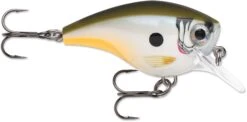 Rapala BX Big Brat 2 3/4 Inch Square Bill Crankbait -Fishing Gear Shop 31321538461785