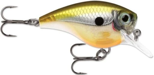 Rapala BX Big Brat 2 3/4 Inch Square Bill Crankbait -Fishing Gear Shop 31321538560089