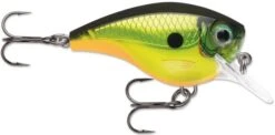 Rapala BX Big Brat 2 3/4 Inch Square Bill Crankbait -Fishing Gear Shop 31321538592857