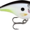 Rapala BX Big Brat 2 3/4 Inch Square Bill Crankbait -Fishing Gear Shop 31321538625625