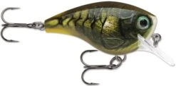 Rapala BX Big Brat 2 3/4 Inch Square Bill Crankbait -Fishing Gear Shop 31321538658393