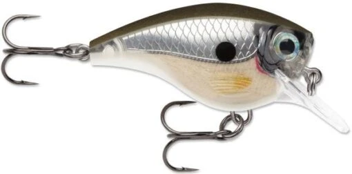 Rapala BX Big Brat 2 3/4 Inch Square Bill Crankbait -Fishing Gear Shop 31321538691161