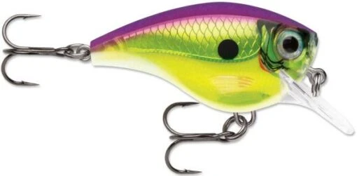 Rapala BX Big Brat 2 3/4 Inch Square Bill Crankbait -Fishing Gear Shop 31321538723929