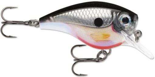 Rapala BX Big Brat 2 3/4 Inch Square Bill Crankbait -Fishing Gear Shop 31321538756697